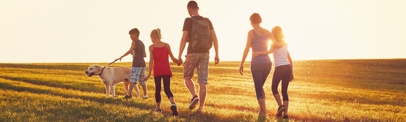 A family walking in a field together during golden hour.
